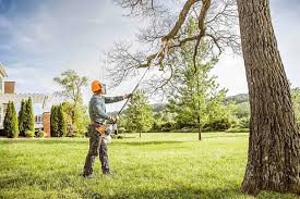 Best Tree Cabling and Bracing  in Hudson, TX